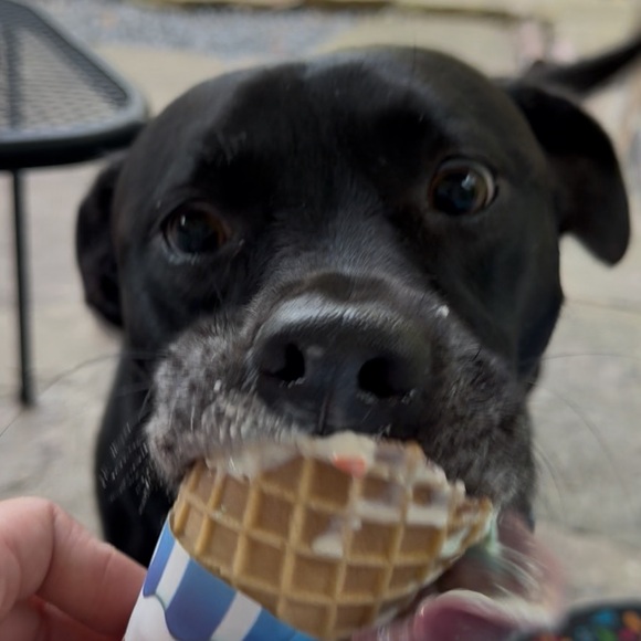 Live Show Flyer 🖤 - Picture 4 of 6